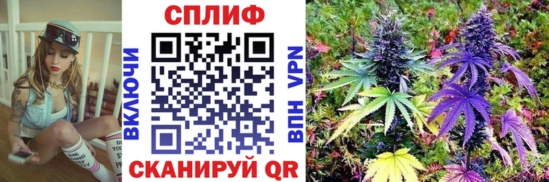 Виды наркотиков купить Михайловск КОКАИН Бутират СК Галлюциногенные грибы Гашиш Меф