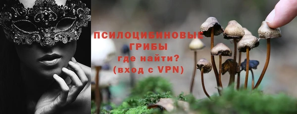 бошки Алексин