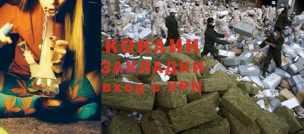 индика Алексеевка