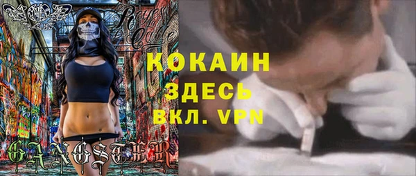 соль ск Алзамай