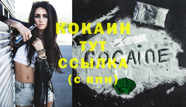 соль ск Алзамай
