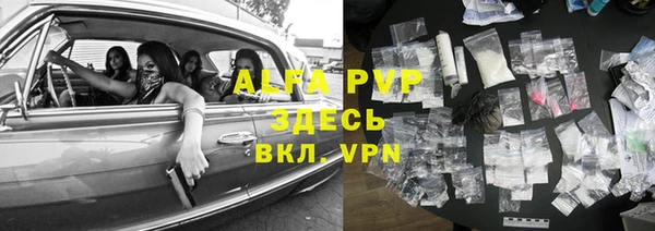 индика Алексеевка