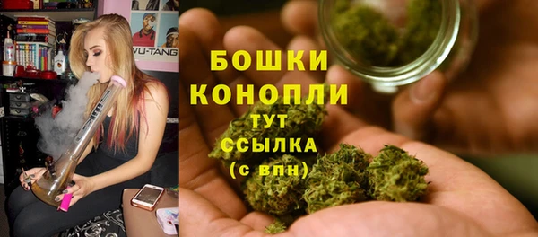 бошки Алексин