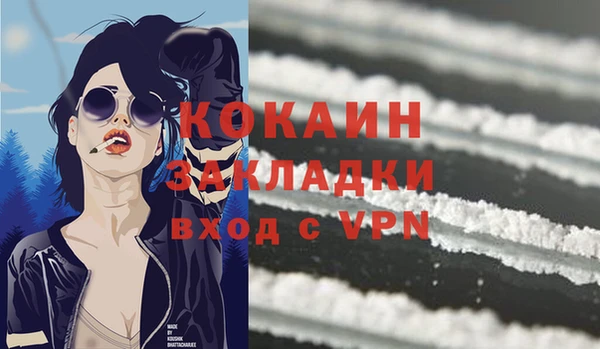 индика Алексеевка